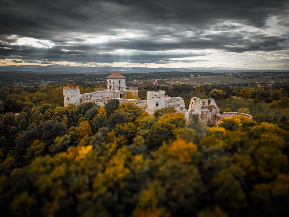 an aerial view of a castle surrounded by trees