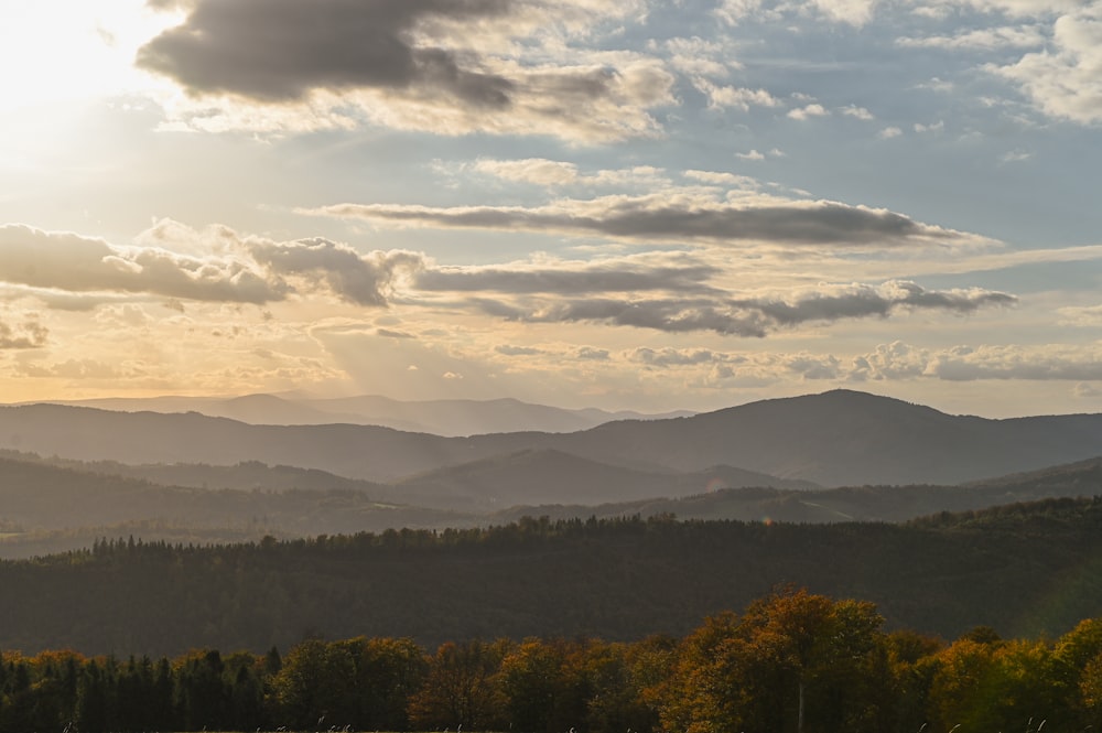 a view of a mountain range with trees in the foreground