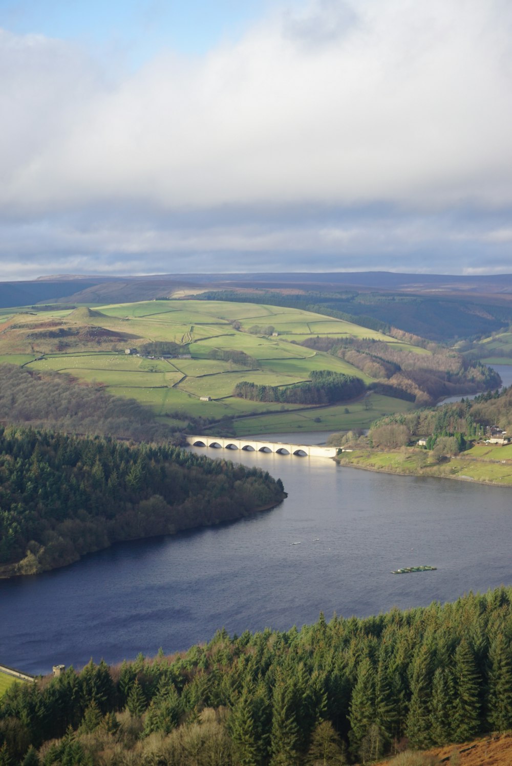 a large body of water surrounded by trees