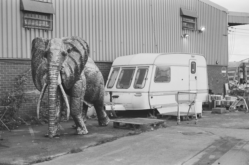 a black and white photo of an elephant and a camper
