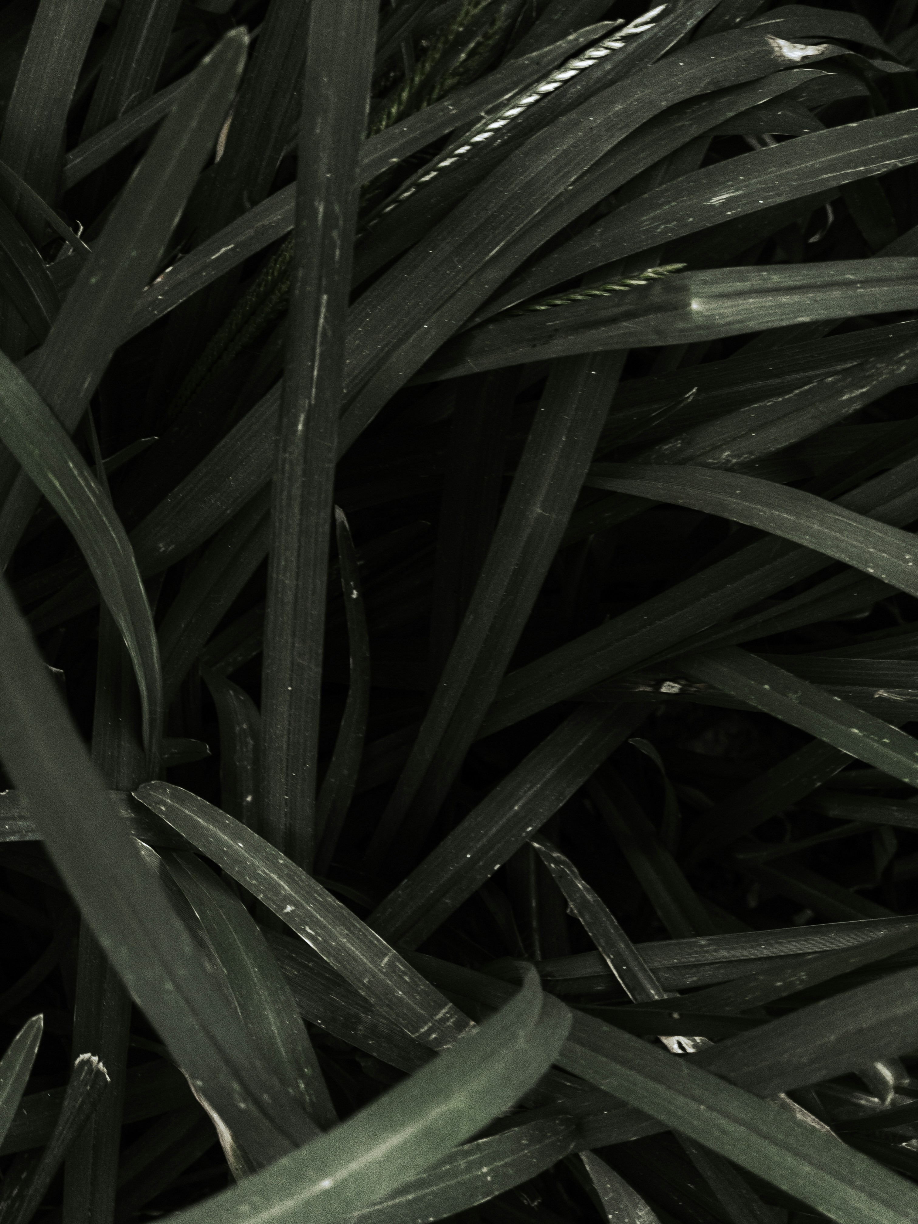 Photo by amritanshdubey