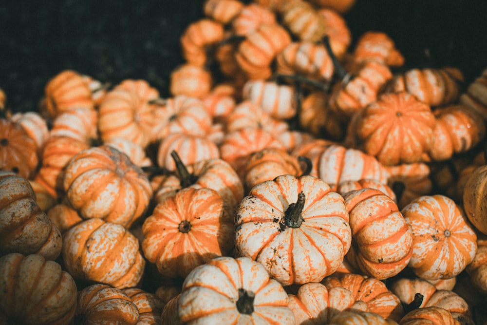 a pile of small pumpkins sitting next to each other