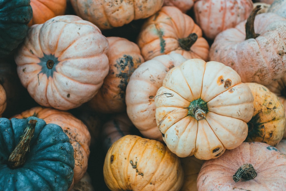 a bunch of pumpkins that are all different colors