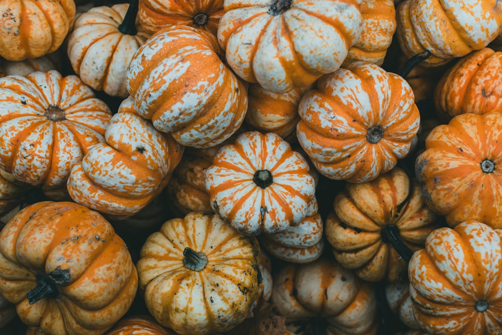 ein großer Haufen orangefarbener und weißer Kürbisse