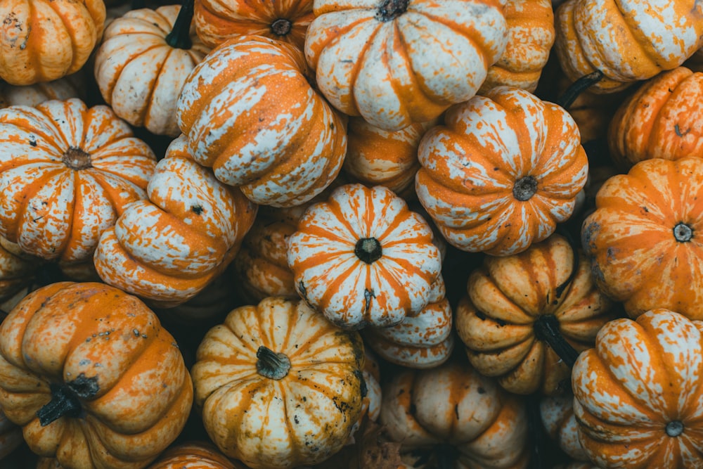 a large pile of orange and white pumpkins
