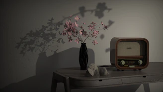 A vintage radio sits on a wooden table next to a black vase containing delicate pink flowers. The flowers cast intricate shadows on the wall behind, creating a play of light and shadow. Two small decorative stones are placed on the table, adding to the serene and nostalgic ambiance.