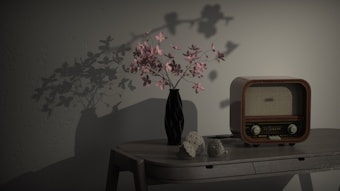 A vintage radio sits on a wooden table next to a black vase containing delicate pink flowers. The flowers cast intricate shadows on the wall behind, creating a play of light and shadow. Two small decorative stones are placed on the table, adding to the serene and nostalgic ambiance.
