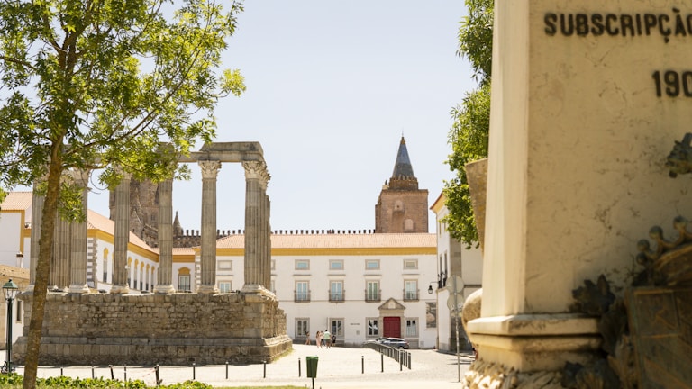 Historic Roman temple ruins with tall stone columns stand in a sunlit square surrounded by white buildings with terracotta roofs. Mature trees provide shade and a tower is visible in the background. Architectural details and a monument are also present.
