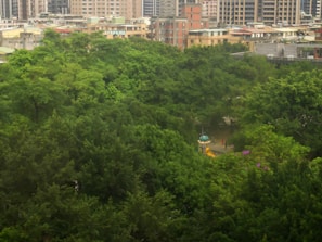 A lush, green park fills most of the foreground with dense foliage. A small playground area with a slide and canopy is partially visible. In the background, urban buildings rise in contrast to the natural scenery of the park.