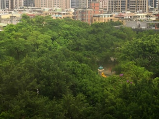 A lush, green park fills most of the foreground with dense foliage. A small playground area with a slide and canopy is partially visible. In the background, urban buildings rise in contrast to the natural scenery of the park.