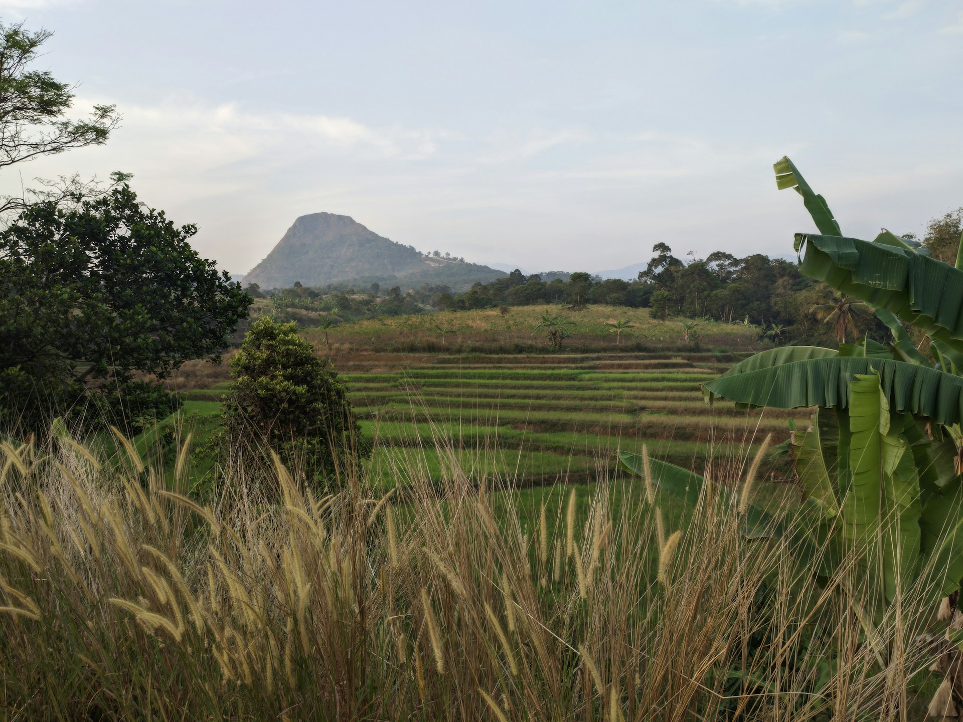 woman wearing yellow long-sleeved dress under white clouds and blue sky during daytime