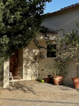 An inviting outdoor view of the gallery surrounded by lush greenery and soft sunlight.