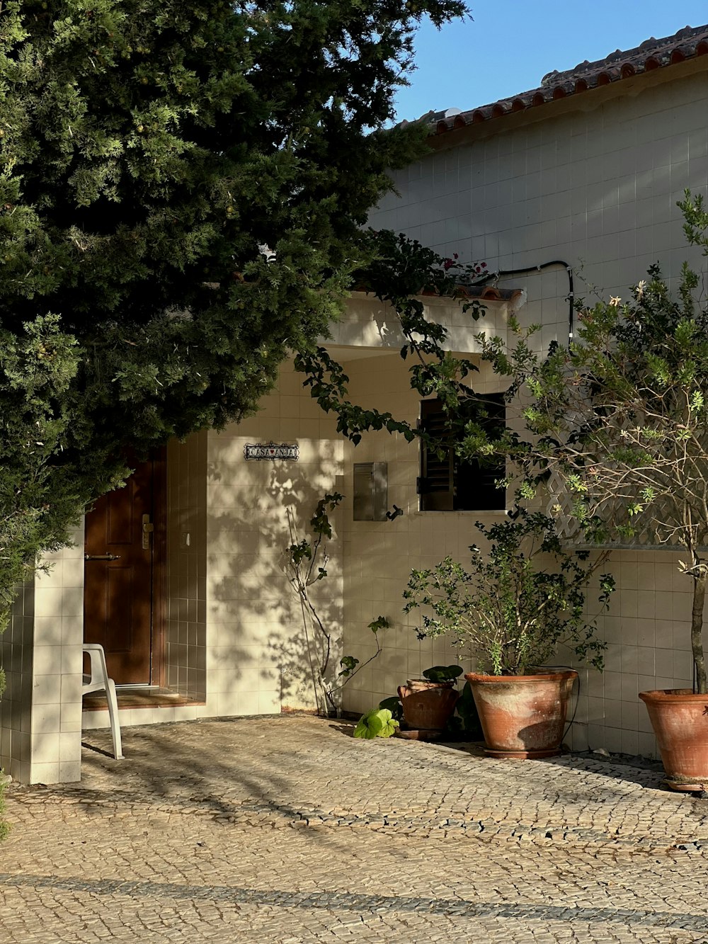 a white building with potted plants and a bench in front of it