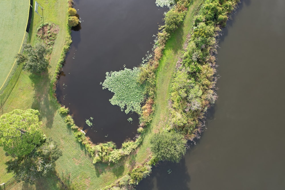 a river running through a lush green countryside