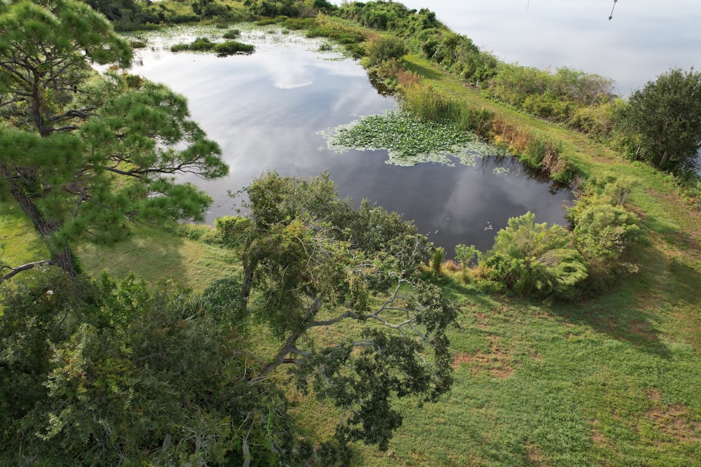 an aerial view of a pond surrounded by trees