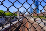 A chain-link fence is in sharp focus in the foreground, while the background shows a blurred view of railway tracks and a city skyline with several high-rise buildings. The sky is clear, indicating a sunny day.
