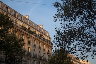 A classic European apartment building with intricate wrought iron balconies, large windows, and a rooftop with small chimneys is partially illuminated by warm, late afternoon sunlight. The foreground features the silhouette of a leafy tree branching across the frame against a clear blue sky.