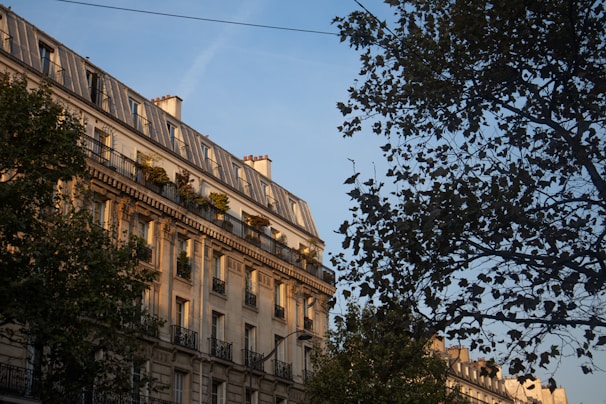 A classic European apartment building with intricate wrought iron balconies, large windows, and a rooftop with small chimneys is partially illuminated by warm, late afternoon sunlight. The foreground features the silhouette of a leafy tree branching across the frame against a clear blue sky.