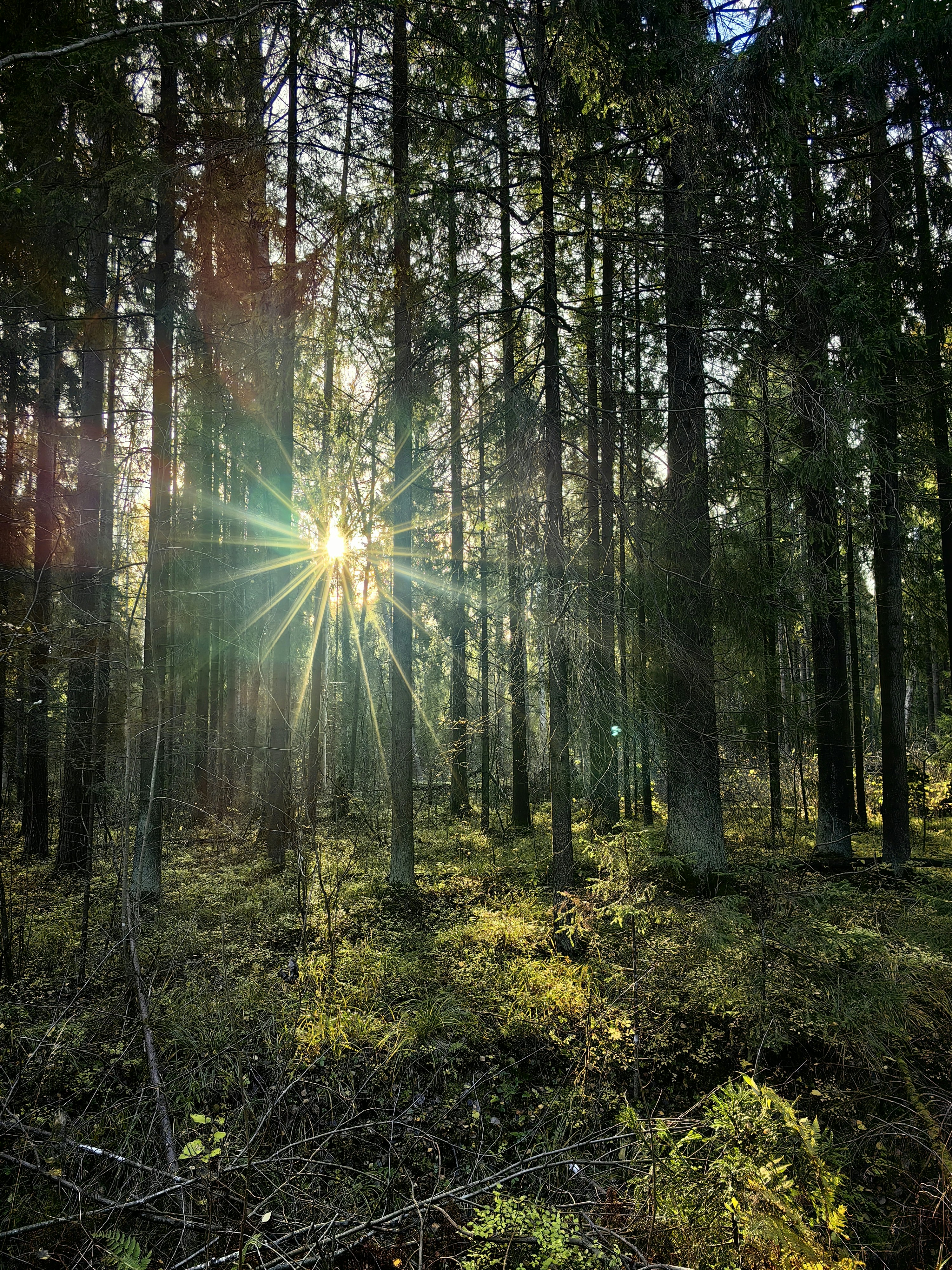 Photo by andrey_sinus