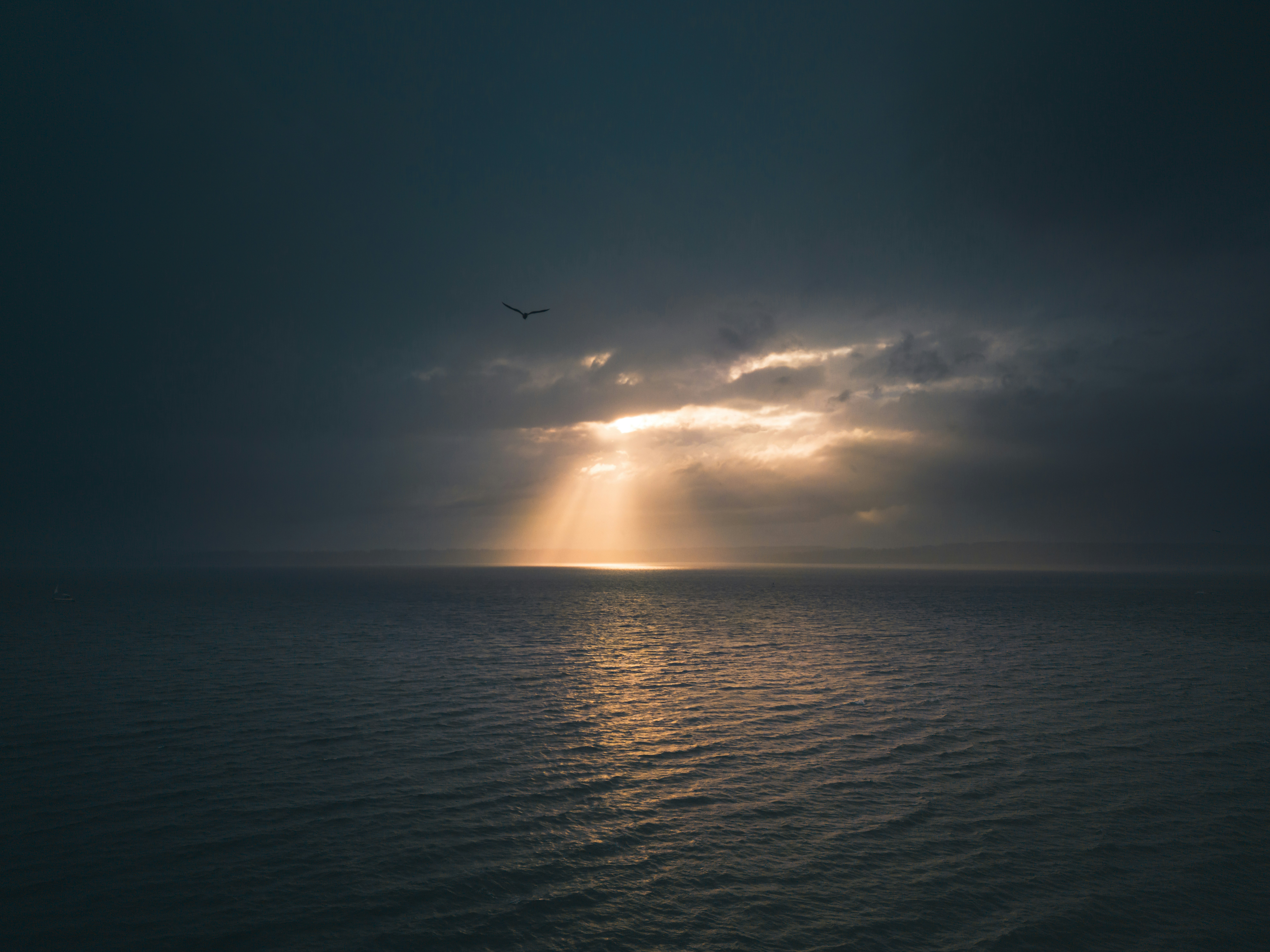 Photo by willianjusten