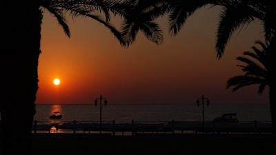 Sunset over a calm bay with silhouettes of palm trees and fishing boats in Martinique