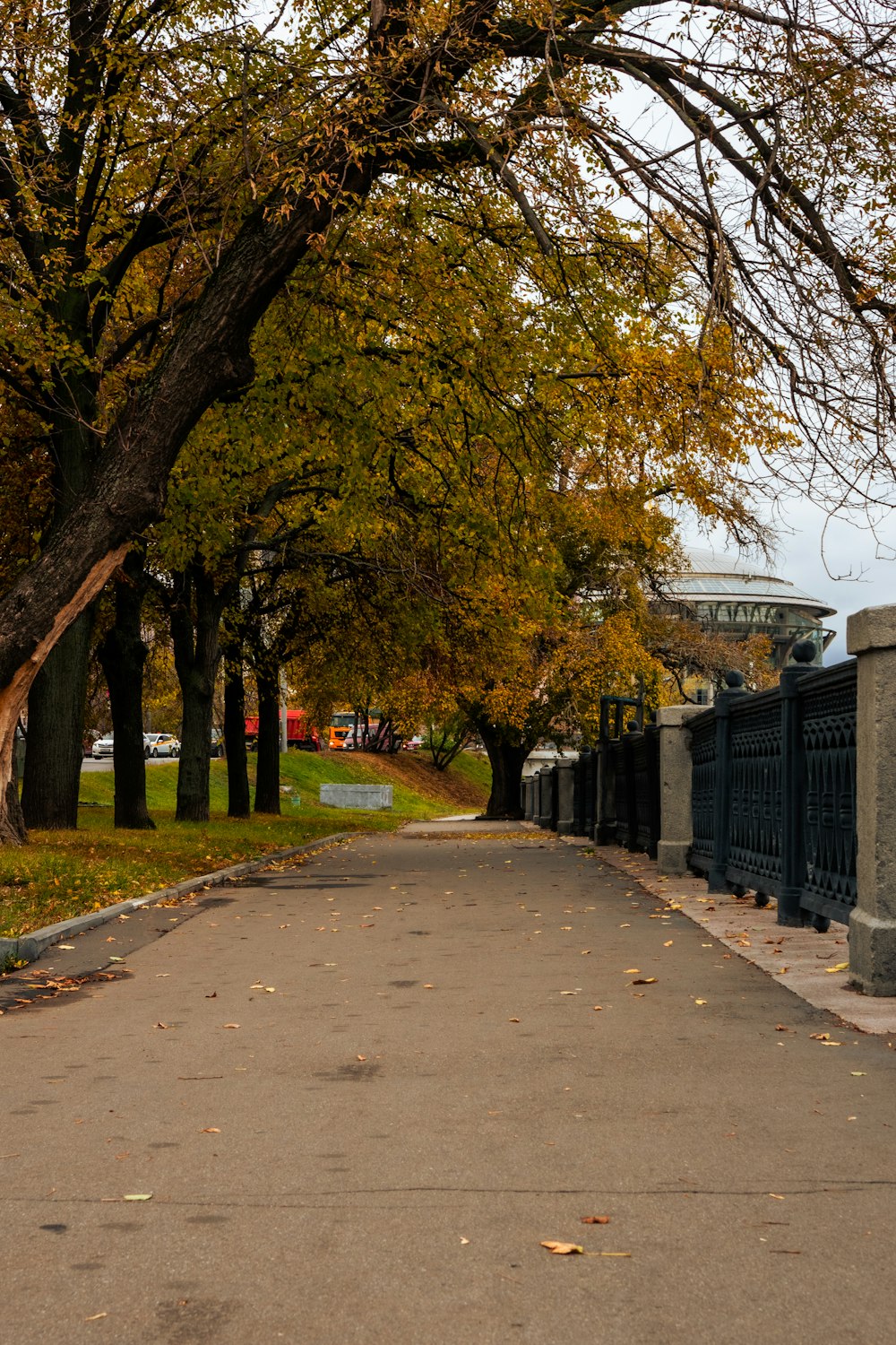 a street with trees and a fence on both sides