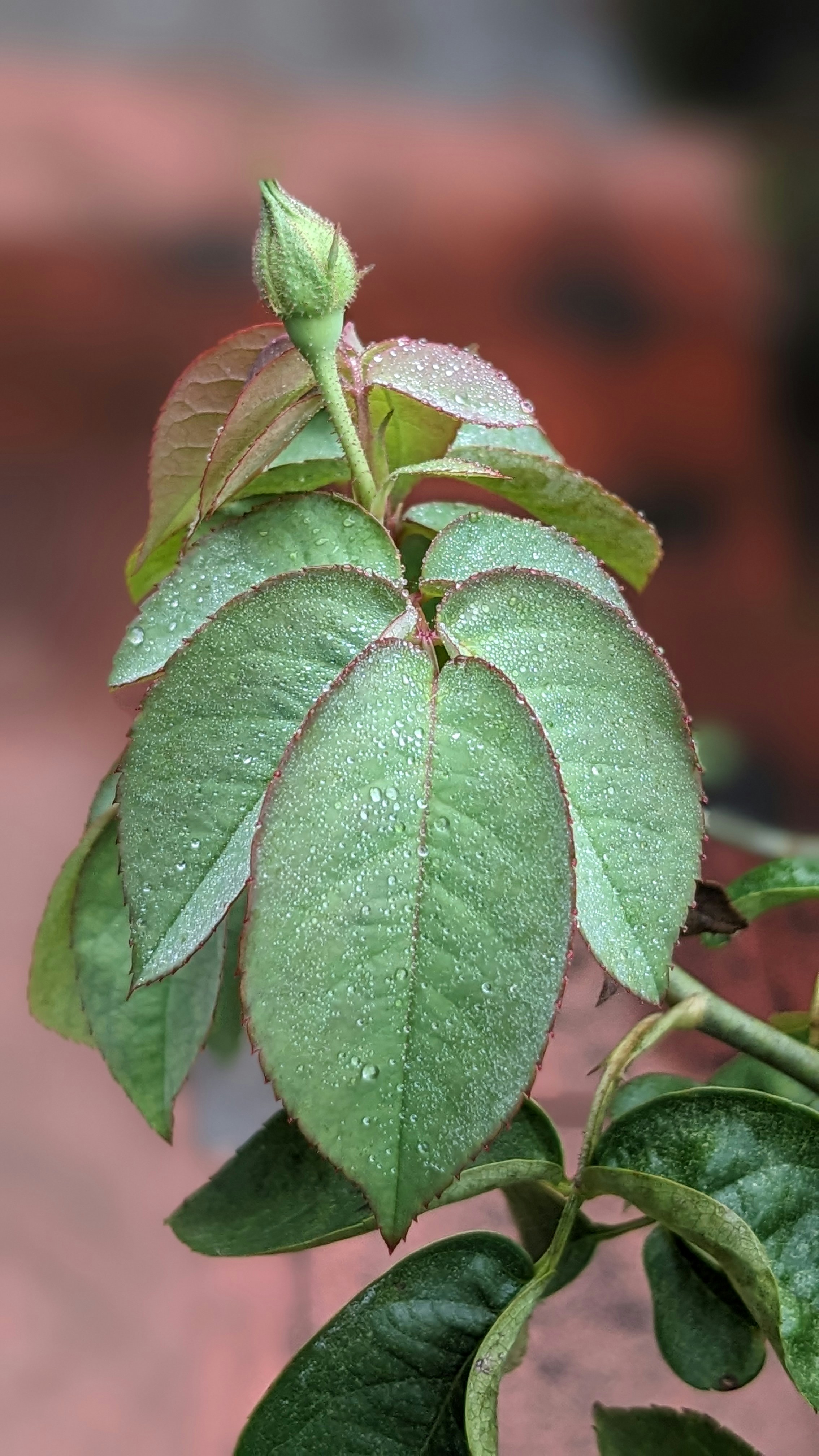 Photo by pixel_philosopher