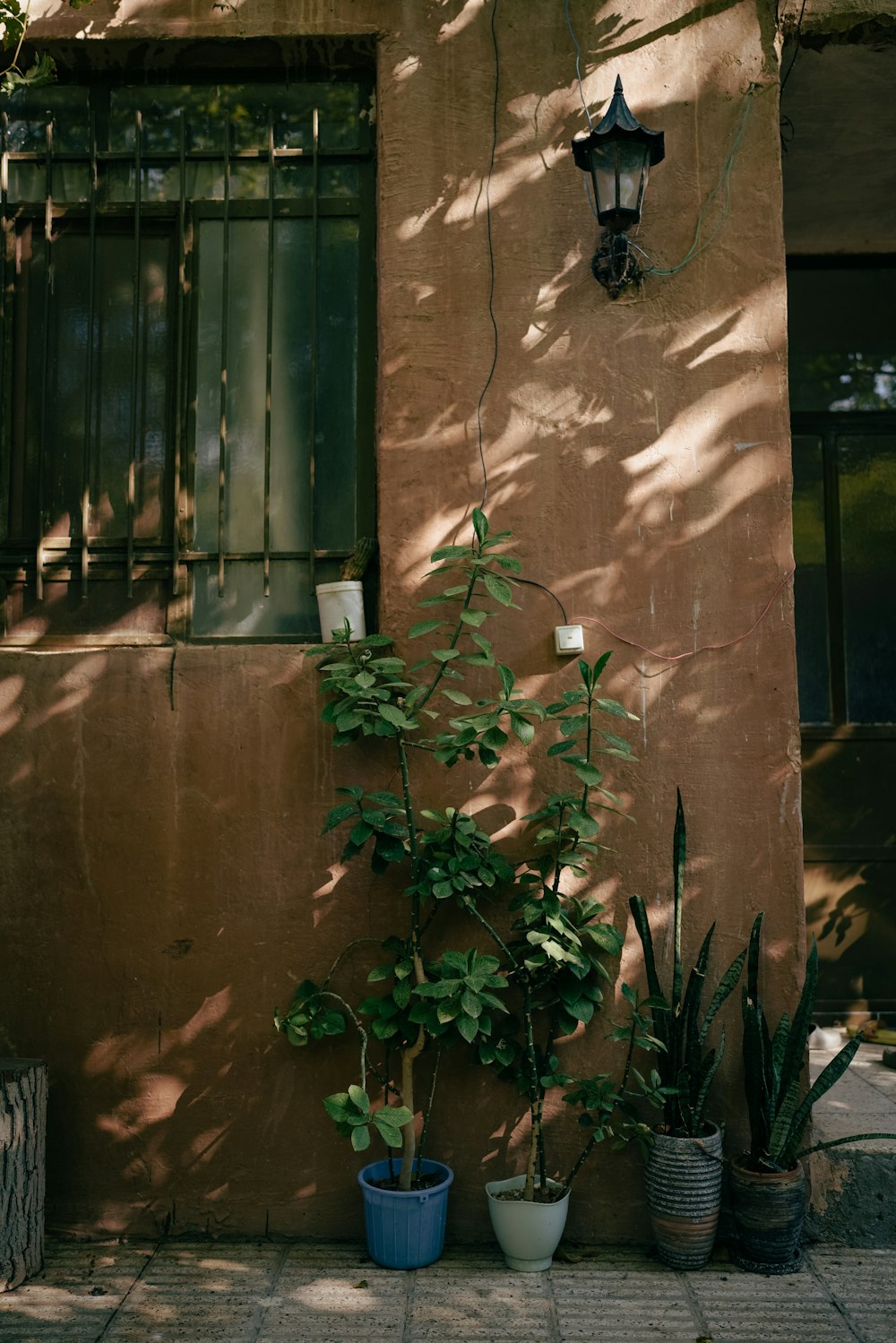 a building that has some plants in front of it