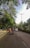 A tree-lined road with two motorcycles and a white car traveling in the same direction. The motorcycles are being ridden by people wearing helmets, one in an orange outfit and another in a red one. The scene is set during the day with greenery on both sides and a clear sky visible.