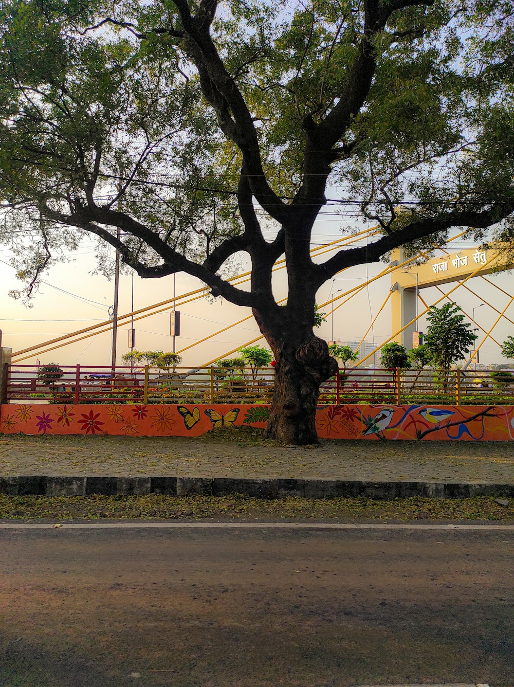 a large tree next to a fence with graffiti on it