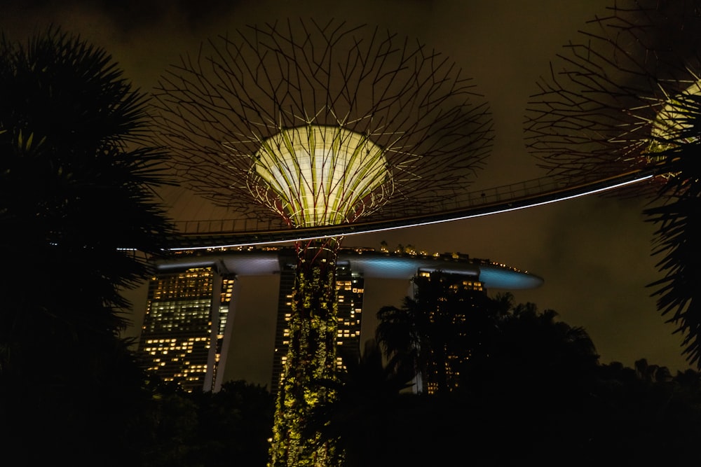 a view of a city at night from the top of a tree