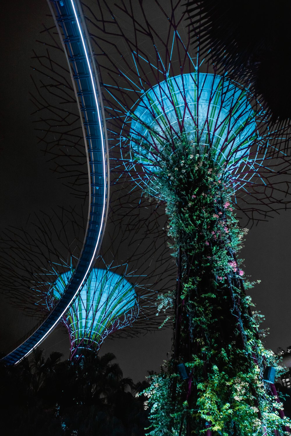 Una veduta notturna dei giardini della baia di Singapore