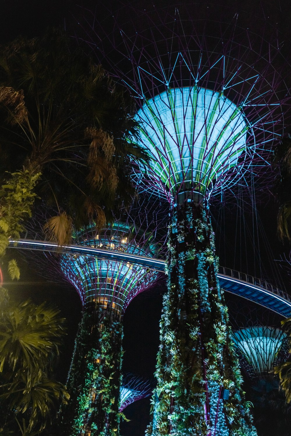 Blick bei Nacht auf die Gardens by the Bay in Singapur