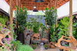 A garden nook featuring colorful potted plants and a small bistro table under a pergola.