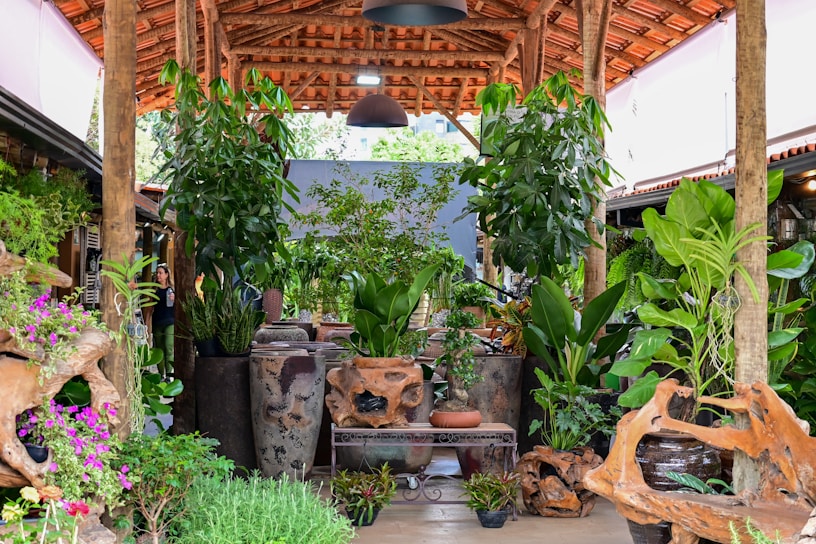 A lush garden-like setting under a wooden pergola with various potted plants and greenery. The area features ornamental pots, driftwood pieces, and wooden beams supporting the roof. A blend of large leafy plants and small colorful flowers create a vibrant and natural atmosphere.