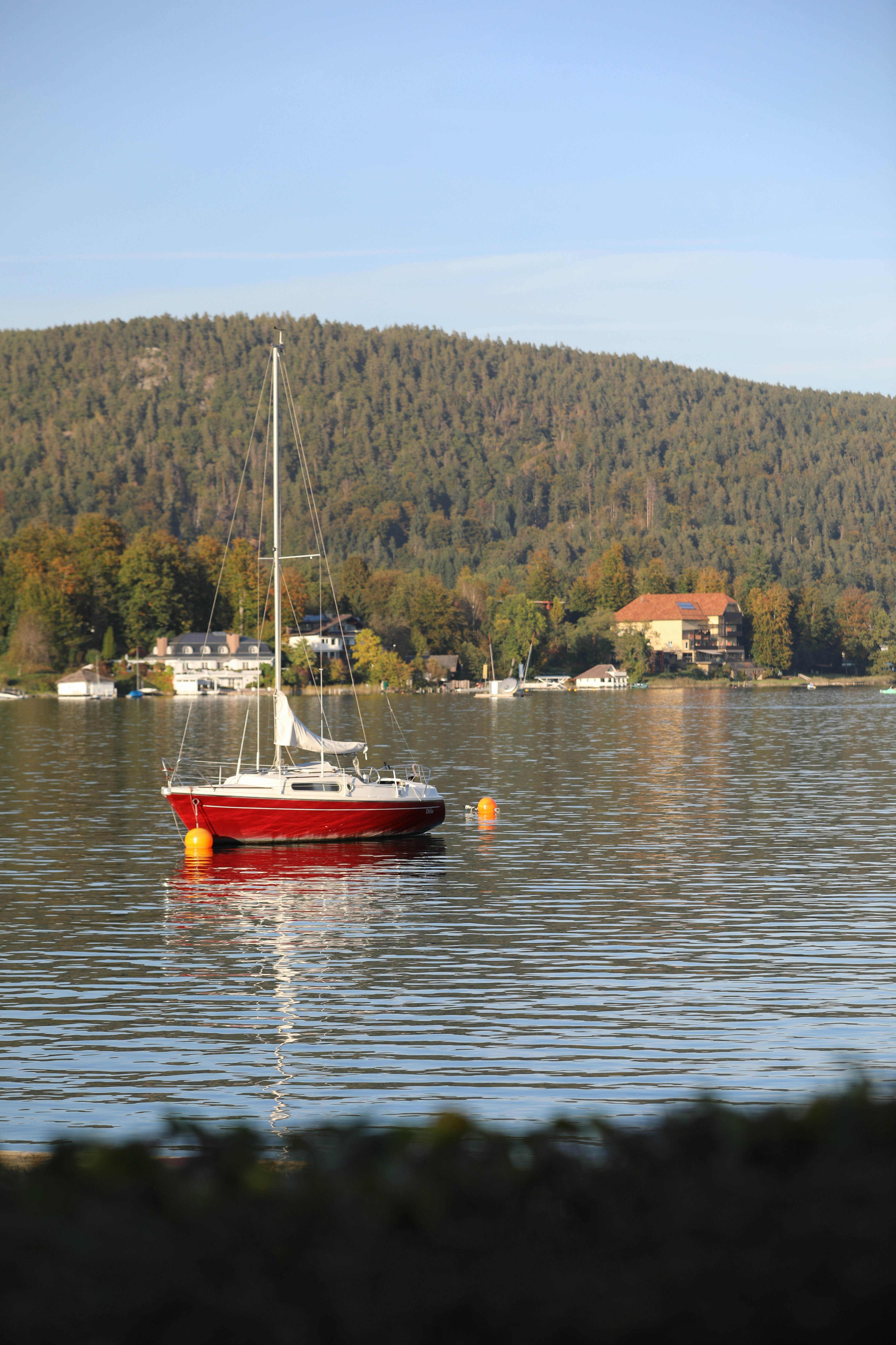 Photo by ovidiugruescu