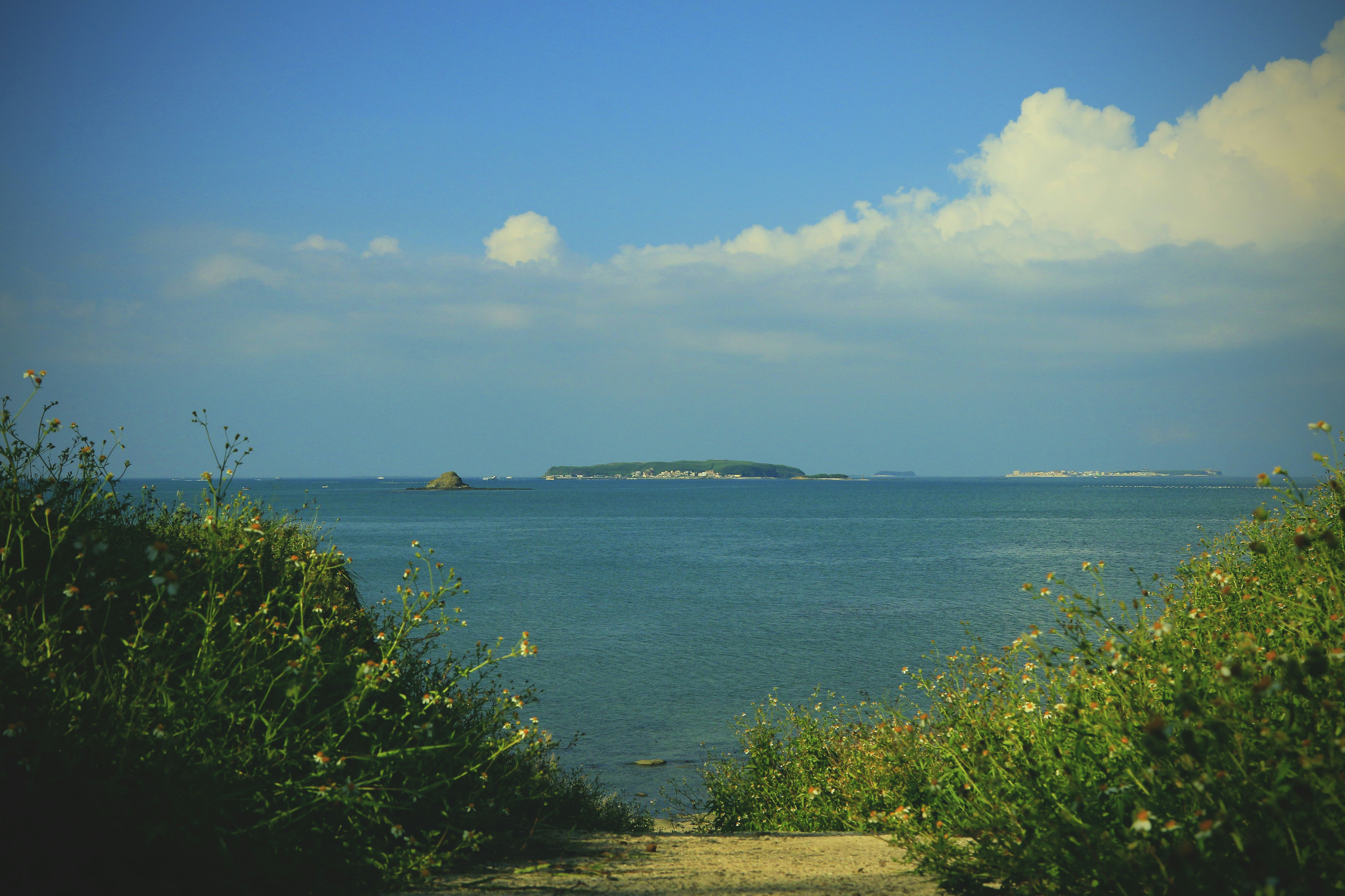 a path leading to the ocean with a small island in the distance