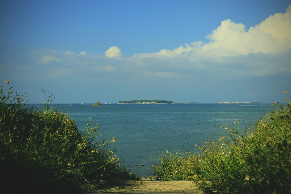 a path leading to the ocean with a small island in the distance