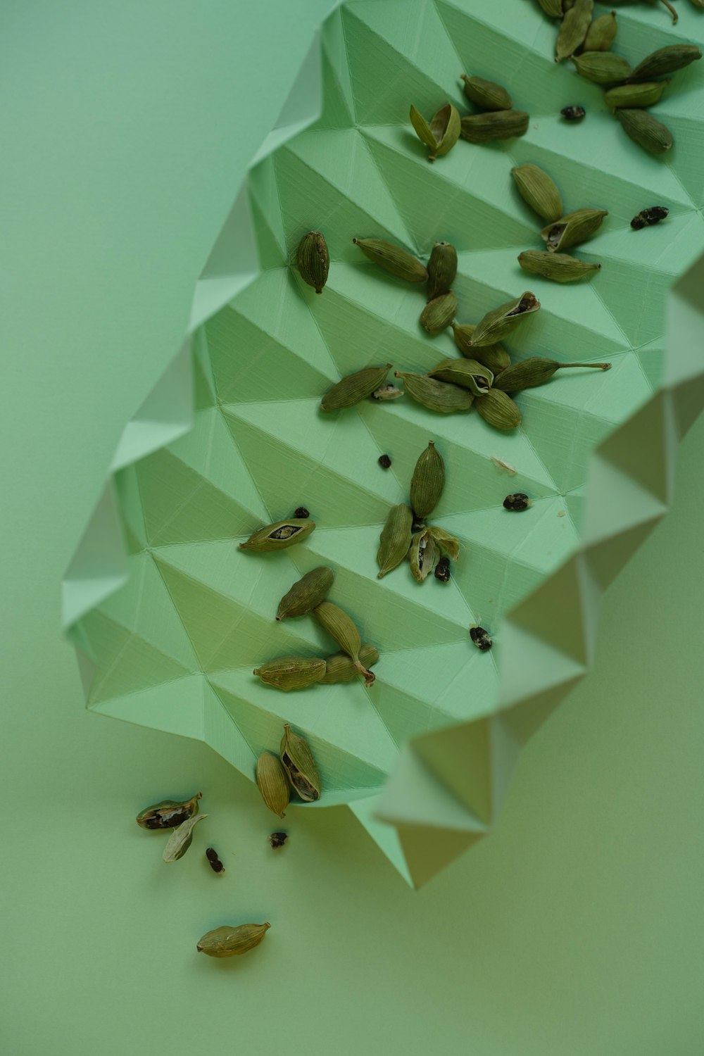 a bunch of seeds that are on a table