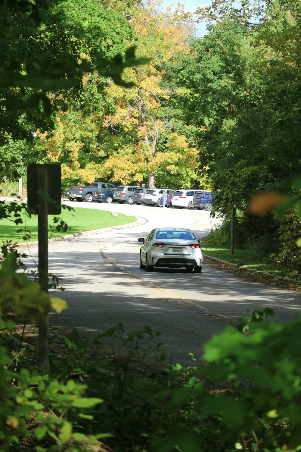 a white car driving down a tree lined road