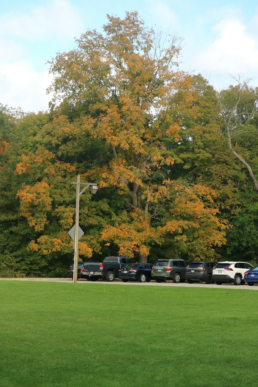 a group of cars parked in a parking lot