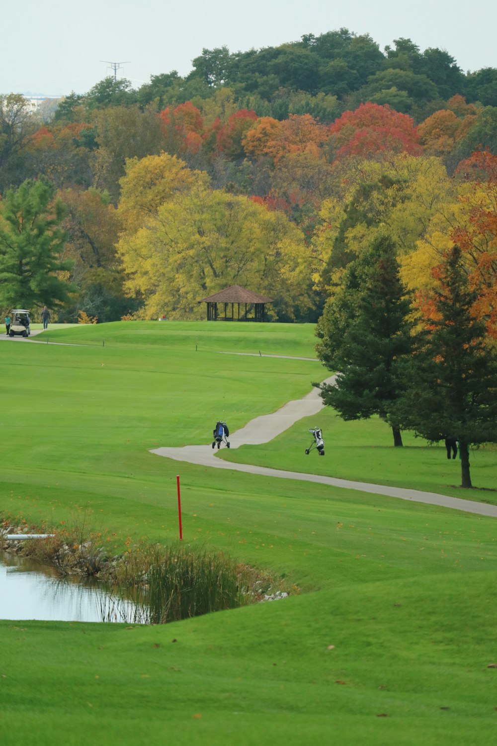 a view of a golf course with trees in the background