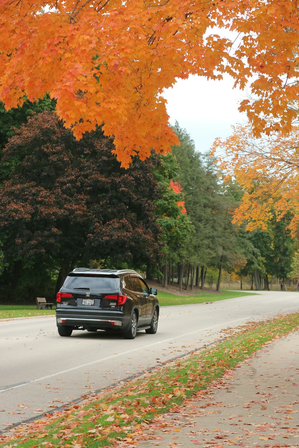 a black car driving down a tree lined road