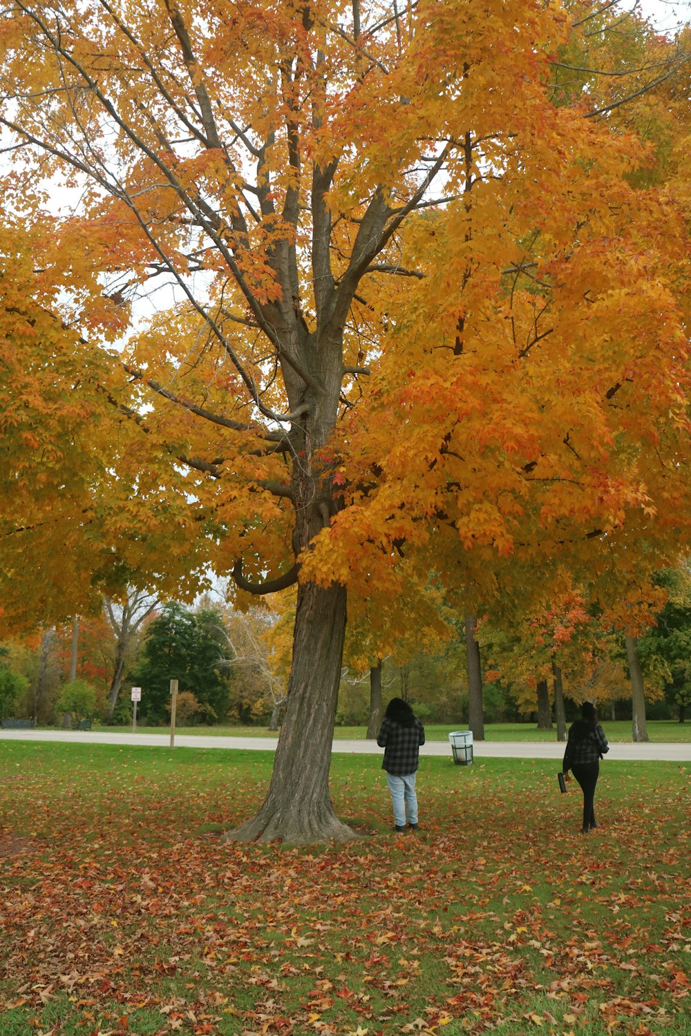 a couple of people standing next to a tree