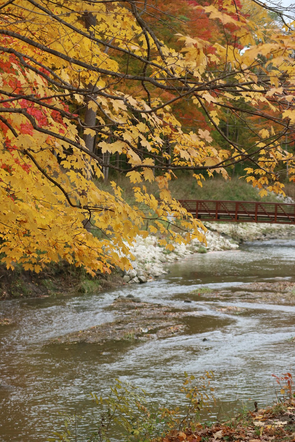 a red bridge over a river surrounded by trees