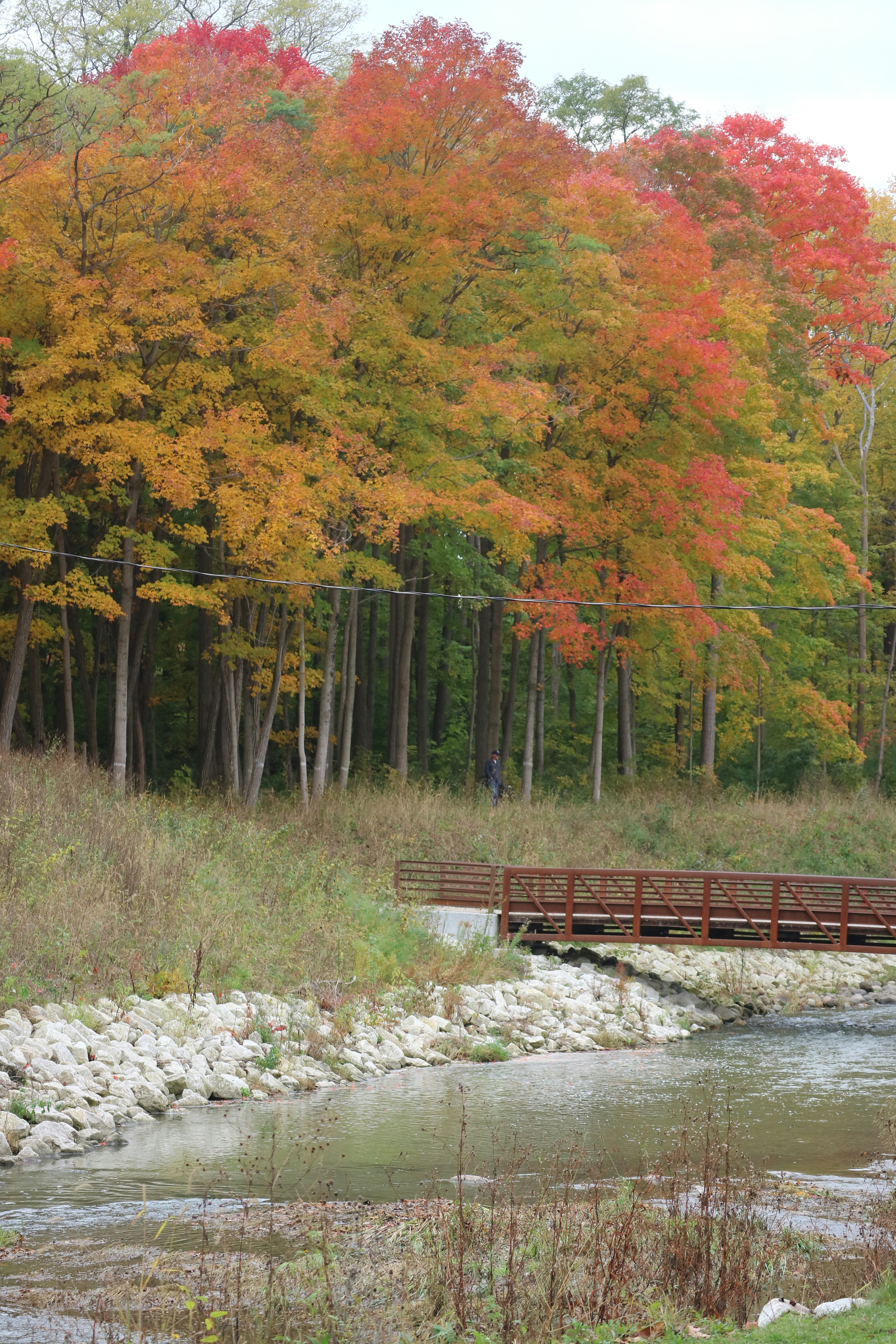 Photo by vincentyuan87