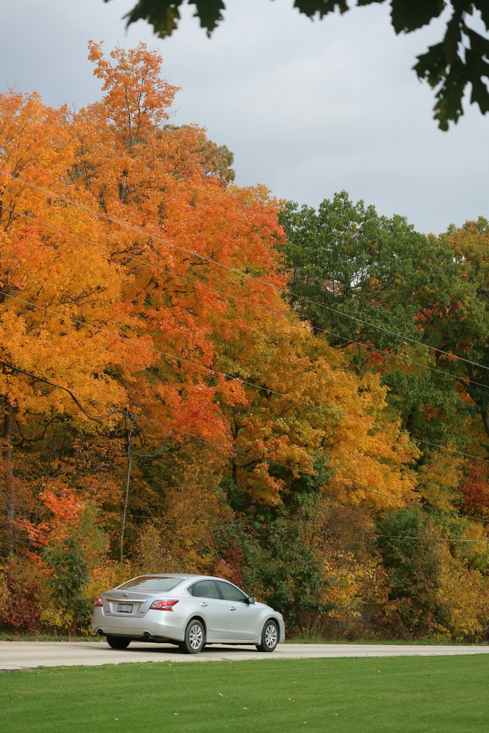 a car parked in front of a tree with orange and yellow leaves