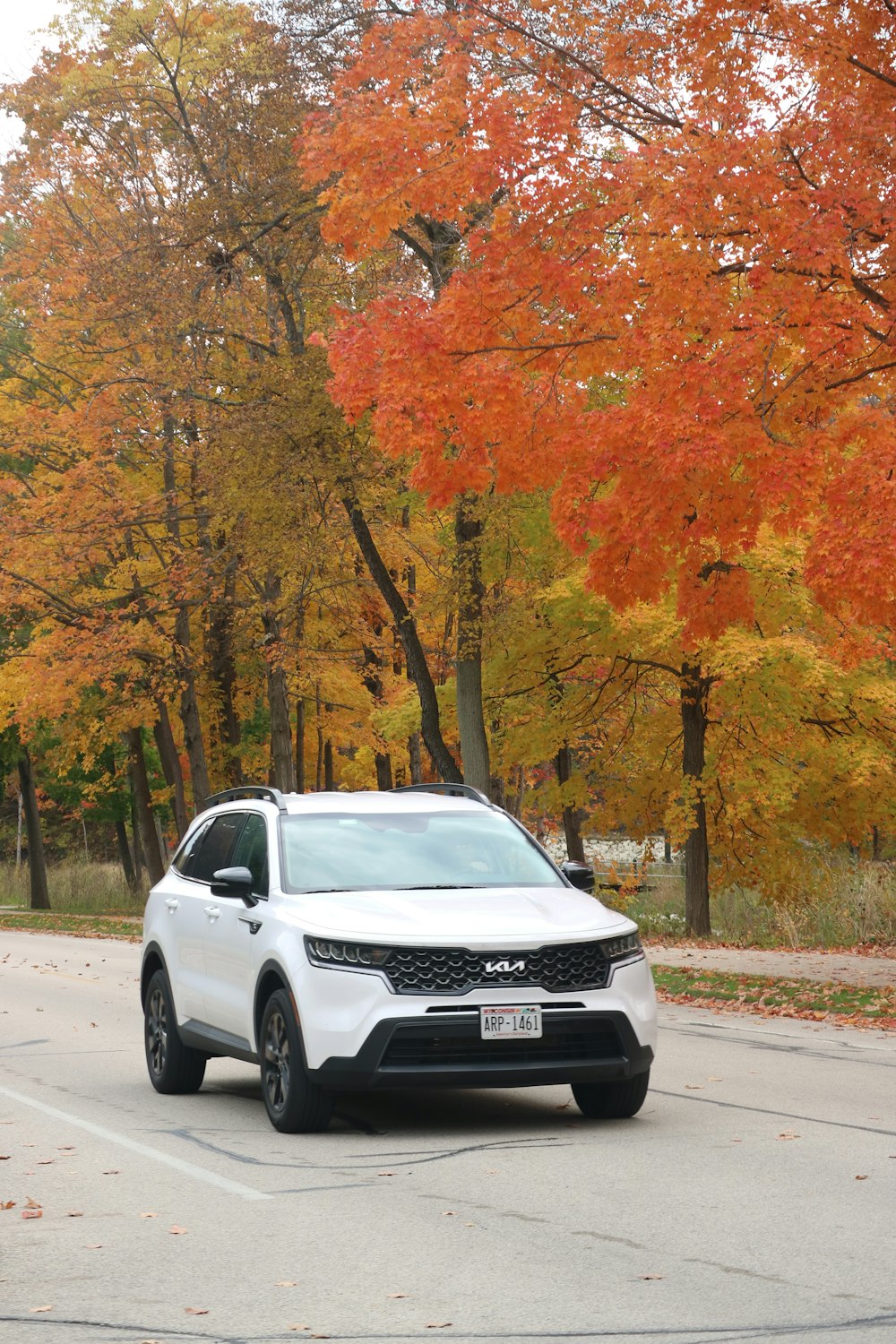 a white car driving down a street next to trees with orange leaves