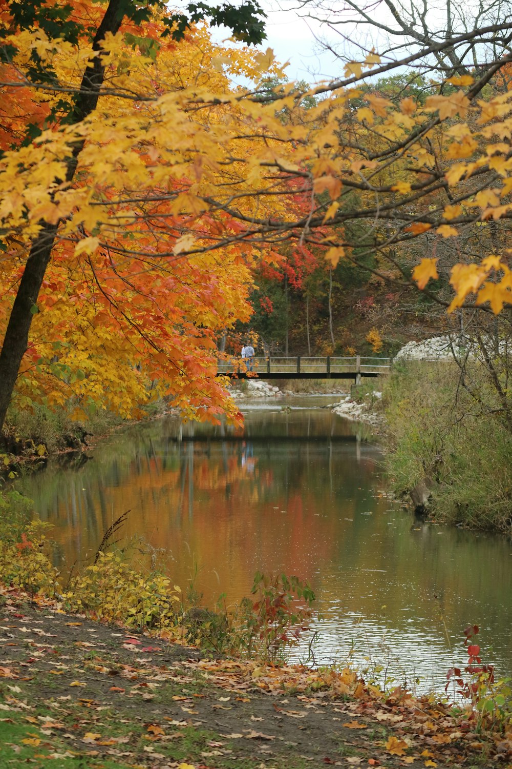 a river surrounded by trees with yellow and red leaves