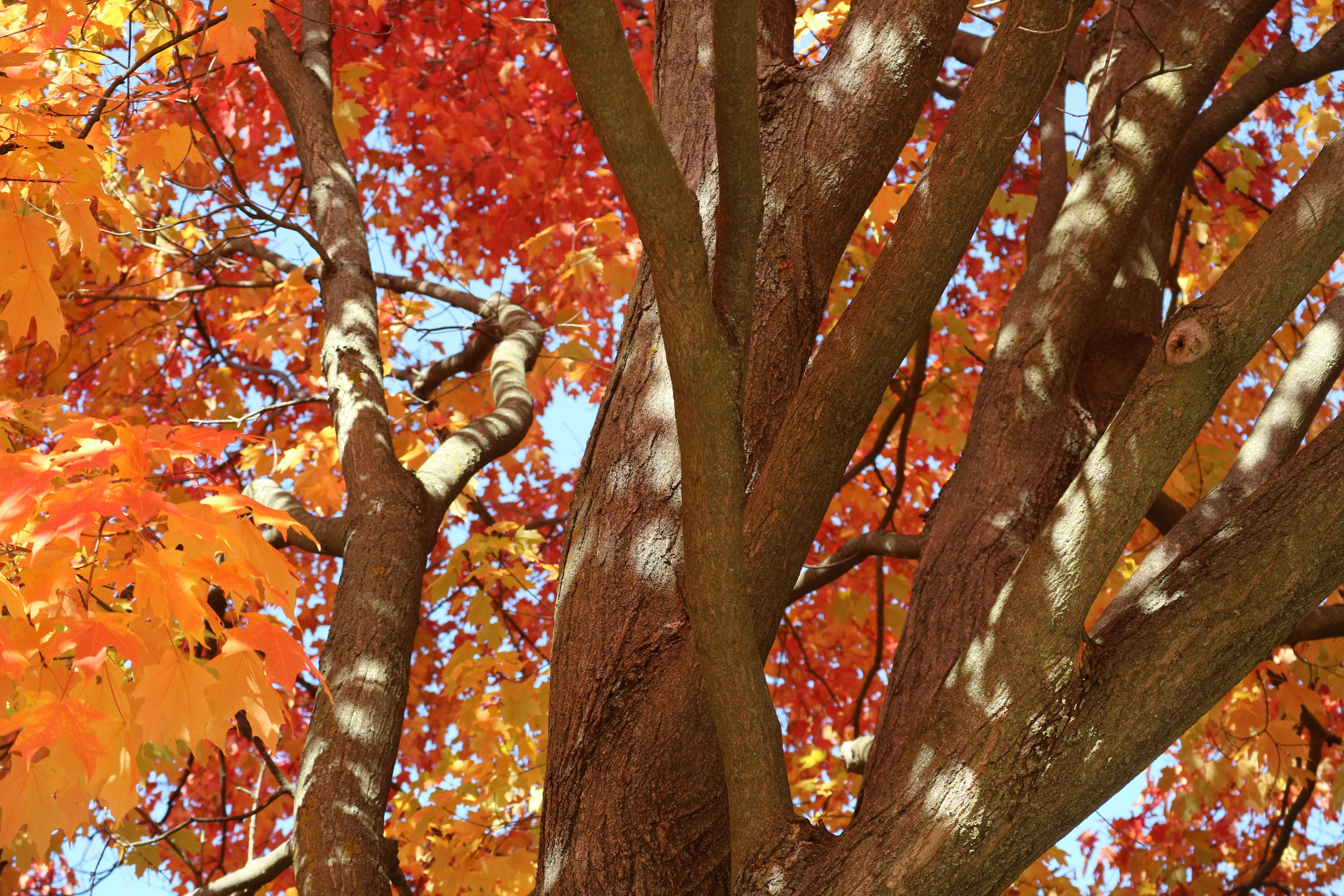 Photo by vincentyuan87